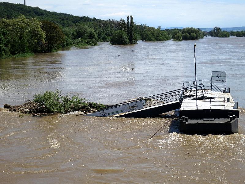 Hochwasser (136).JPG